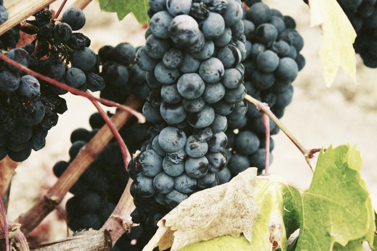 Voluptas perferendis ea temporibus