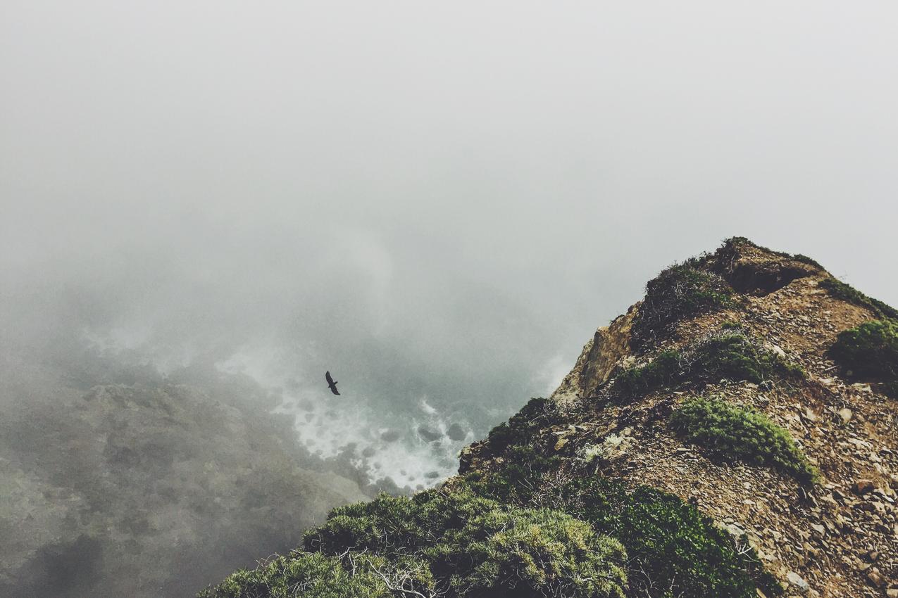 Rerum ut magnam saepe