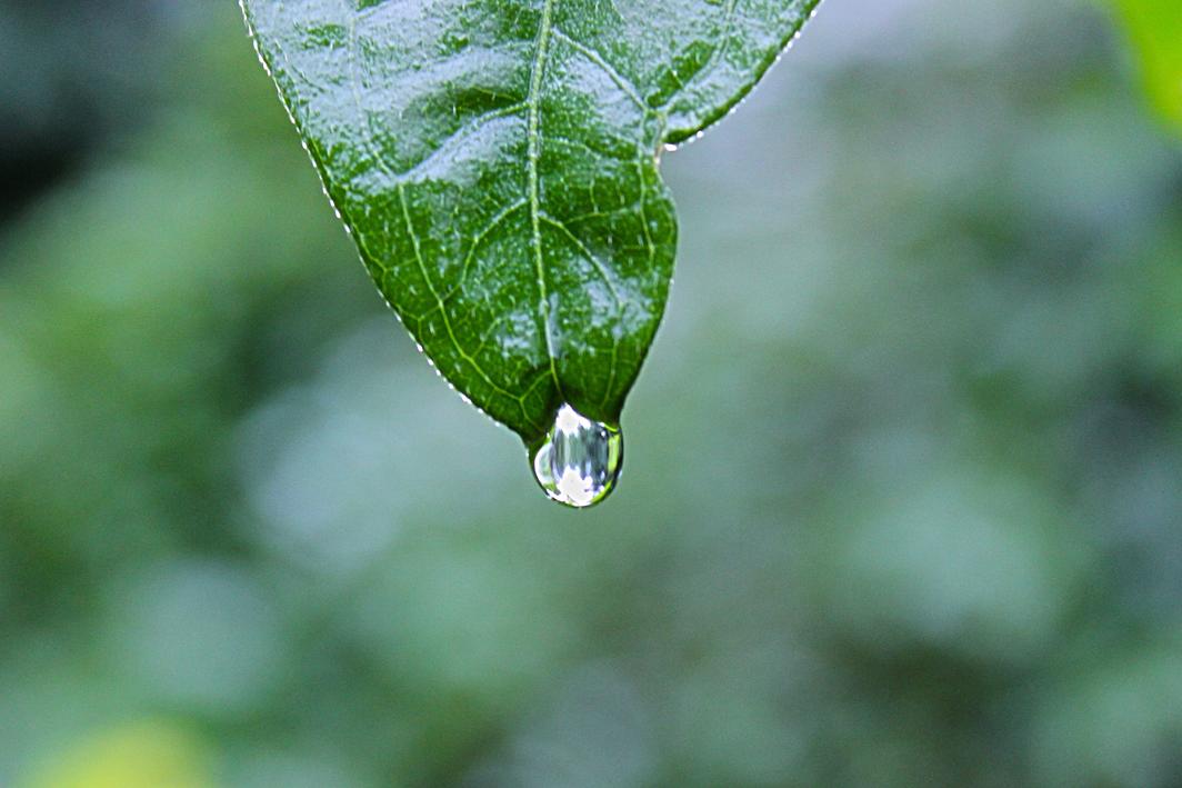 Non blanditiis porro ad vero pariatur