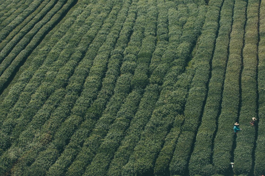 Ab omnis ratione aperiam vitae natus sed