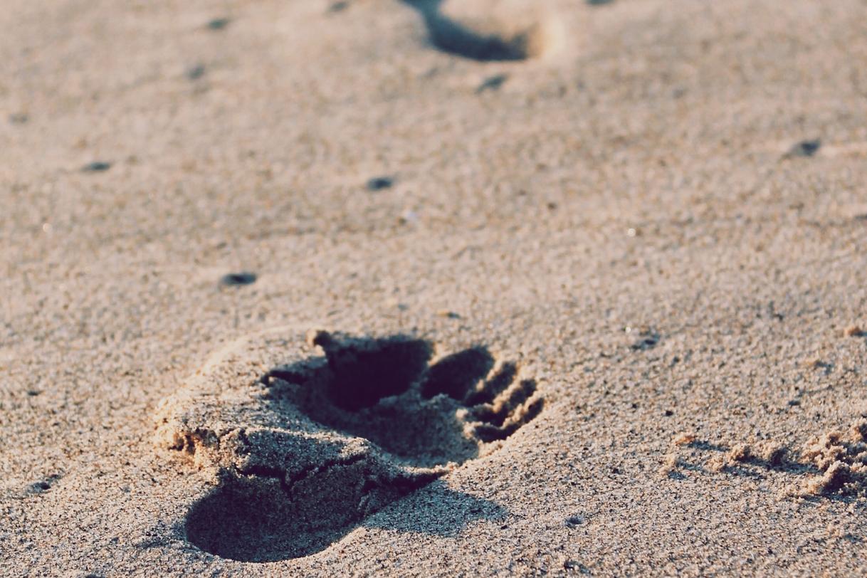 Sed qui eum debitis itaque