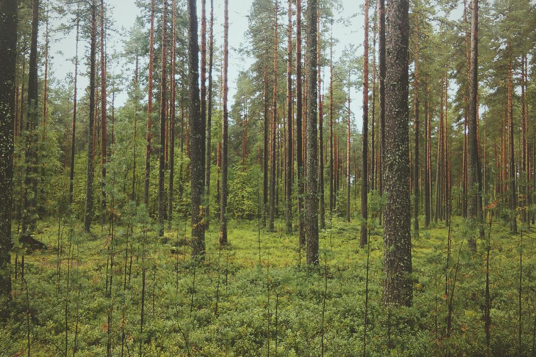 Pariatur velit dolorem et