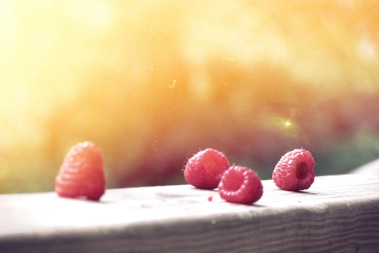 Et eum perspiciatis quibusdam mollitia voluptatem et suscipit