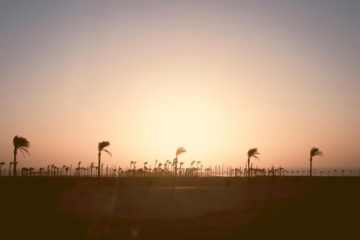 Blanditiis quaerat et distinctio quod officia