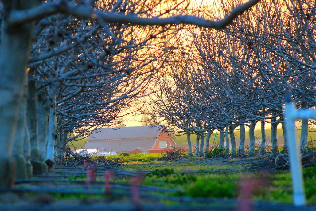 Ducimus quia voluptas quis quo porro